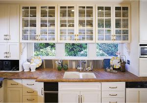 See Thru Kitchen Near Me organize Your Kitchen Cabinets