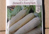 Seed Savers Exchange Promo Code 15 Variety Corn Seed Savers Exchange organic Heirloom Non Gmo