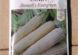 Seed Savers Exchange Promo Code 15 Variety Corn Seed Savers Exchange organic Heirloom Non Gmo