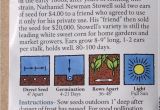 Seed Savers Exchange Promo Code 15 Variety Corn Seed Savers Exchange organic Heirloom Non Gmo