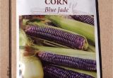 Seed Savers Exchange Promo Code 15 Variety Corn Seed Savers Exchange organic Heirloom Non Gmo