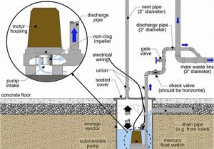 Sewage Ejector Pump Installation Diagram Sewer Ejector Pump Services Rooter Man