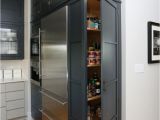 Shallow Depth Under Cabinet Refrigerator Kitchen Refrigerator Side Panel Ideas Above Refrigerator Cabinet