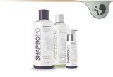 Shapiro Md Shampoo Reviews Shapiro Md Shampoo Conditioner Review Real Hair Growth