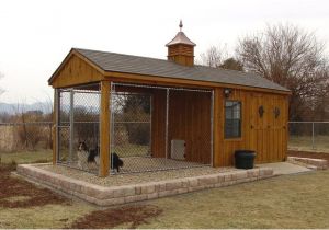 Shed Dog House Combo 10 X 10 Dog Kennel as A Chicken Run 20 39 Shed Kennel