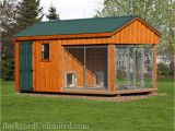 Shed Dog House Combo Animal Structures Dog Kennels Backyard Unlimited