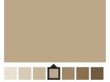 Sherwin Williams Antler Velvet Latte Sherwin Williams 6108 Love This Color In My Living