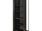 Shoe Cabinet with Doors Home Depot the Murphy Door 32 In X 80 In Flush Mount assembled Paint Grade