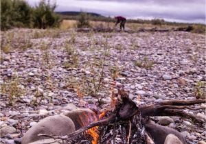 Silver Stag Woods and Water Light My Fire Blog Sharing Our Adventures