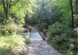 Silver Stag Woods and Water Riding the Rails to Trails Metro Offers A Car Free Path to the