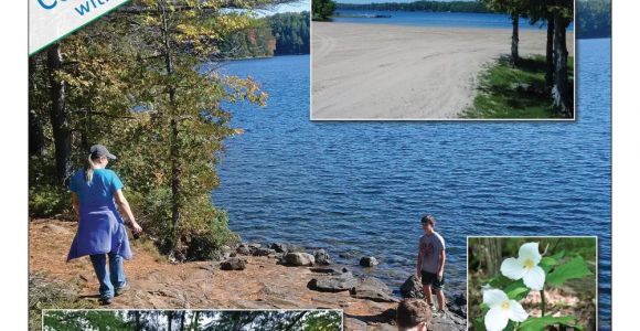 Silver Stag Woods and Water Sharbot Lake Silver Lake Provincial Park 2018 Information Guide by