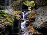 Silver Stag Woods and Water Watkins Glen State Park Wikipedia