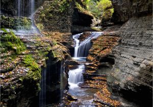 Silver Stag Woods and Water Watkins Glen State Park Wikipedia