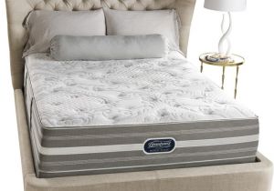 Simmons Beautyrest World Class Providence 14.5 Plush Pillow top Mattress Furniture Idea Appealing Simmons Beautyrest World Class