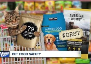 Simmons Pet Food Brands is Your Pet Food Safe some Contain toxins Lead One