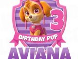 Skye Paw Patrol Iron On Transfers Paw Patrol Iron On Transfer Skye Pup Pink Purple