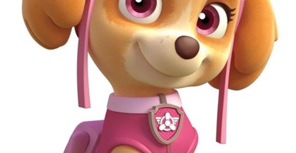 Skye Paw Patrol Iron On Transfers Paw Patrol Skye Iron On Transfer 5 Quot X6 75 Quot for Light