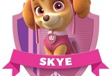 Skye Paw Patrol Iron On Transfers Paw Patrol Skye T Shirt Iron On Transfer 8×10 5×6 3×3