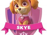 Skye Paw Patrol Iron On Transfers Paw Patrol Skye T Shirt Iron On Transfer 8×10 5×6 3×3