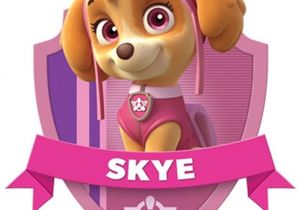 Skye Paw Patrol Iron On Transfers Paw Patrol Skye T Shirt Iron On Transfer 8×10 5×6 3×3