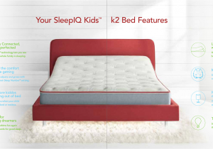 Sleep Number Bed Limited Edition 10000 Smart Outlet User Manual Select Comfort Corp