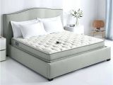 Sleep Number Bed Vs Tempurpedic Consumer Reports Consumer Reports Sleep Number Bed top Rated Mattresses