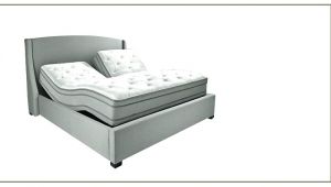 Sleep Number Bed Weight Limit Adjustable Bed Frame Reviews Tasasylum org