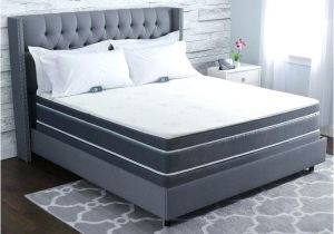 Sleep Science Adjustable Bed Reviews Sleep Science Adjustable Bed Petronac Com