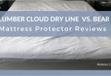 Slumber Cloud Dryline Mattress Protector Review Mattress Protector Reviews Slumber Cloud Dry Line Vs