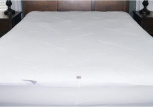 Slumber Cloud Dryline Mattress Protector Review Slumber Cloud Dryline Mattress Protector Review Sleepopolis