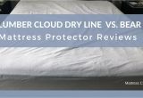 Slumber Cloud Mattress Protector Reviews Mattress Protector Reviews Slumber Cloud Dry Line Vs