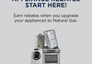 Small Appliance Repair Vero Beach Fl Residential Rebates Florida Public Utilities