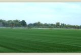 Sod Farms St Louis Emerald View Turf Farms Ed Keeven sod Company Grass Fescue