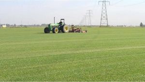 Sod Farms St Louis sod In St Louis southern Illinois Heartland Turf Farms