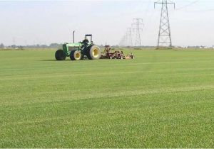 Sod Farms St Louis sod In St Louis southern Illinois Heartland Turf Farms