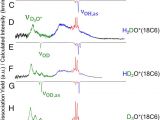 Spectrum Labs Quick Fix Plus Directions Hidden Role Of Intermolecular Proton Transfer In the Anomalously