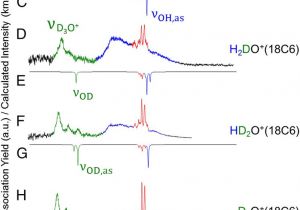 Spectrum Labs Quick Fix Plus Directions Hidden Role Of Intermolecular Proton Transfer In the Anomalously