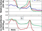 Spectrum Labs Quick Fix Plus Directions Improving Accuracy Of Cell and Chromophore Concentration