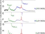 Spectrum Labs Quick Fix Plus Hidden Role Of Intermolecular Proton Transfer In the Anomalously