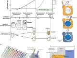 Spectrum Labs Quick Fix Plus Instructions A Rapid Antimicrobial Susceptibility Test Based On Single Cell