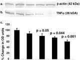 Spectrum Labs Quick Fix Plus Instructions the Flavonoid Quercetin Inhibits Proinflammatory Cytokine Tumor