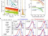 Spectrum Labs Quick Fix Plus Near Me Evidence and Mechanism Of Efficient thermally Activated Delayed