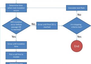 Spectrum Labs Quick Fix Plus Reviews 2019 A Model for Designing Adaptive Laboratory Evolution Experiments