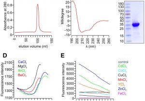 Spectrum Labs Quick Fix Plus Reviews 2019 A Trpv1 to Secretagogin Regulatory Axis Controls Pancreatic I Cell