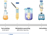 Spectrum Labs Quick Fix Plus Reviews 2019 Metabolomic Investigation Of Staphylococcus Aureus Antibiotic