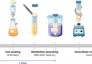 Spectrum Labs Quick Fix Plus Reviews 2019 Metabolomic Investigation Of Staphylococcus Aureus Antibiotic