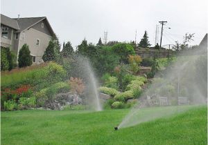 Sprinkler Blowout Aurora Co Lawn Aeration Sprinkler Startup Sprinkler Repair