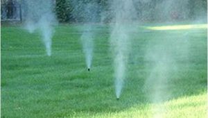 Sprinkler Blowout Aurora Co Sprinkler Blowout Lawn Aeration Sprinkler Winterizing