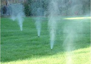 Sprinkler Blowout Aurora Co Sprinkler Blowout Lawn Aeration Sprinkler Winterizing