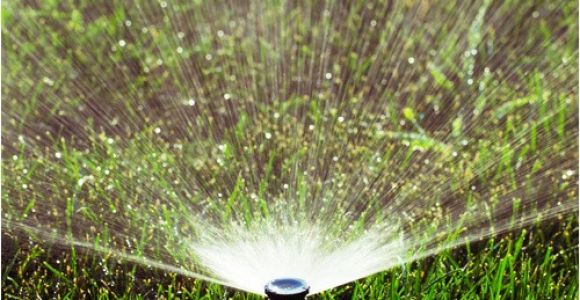 Sprinkler Repair In fort Collins fort Collins Sprinkler Turn On Shut Off Sprinkler Blow Out